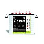 Genus Battery 300AH