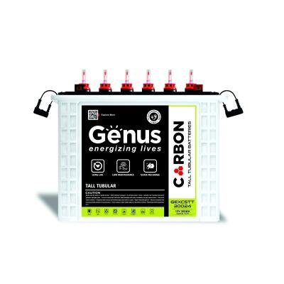 Genus Battery 300AH