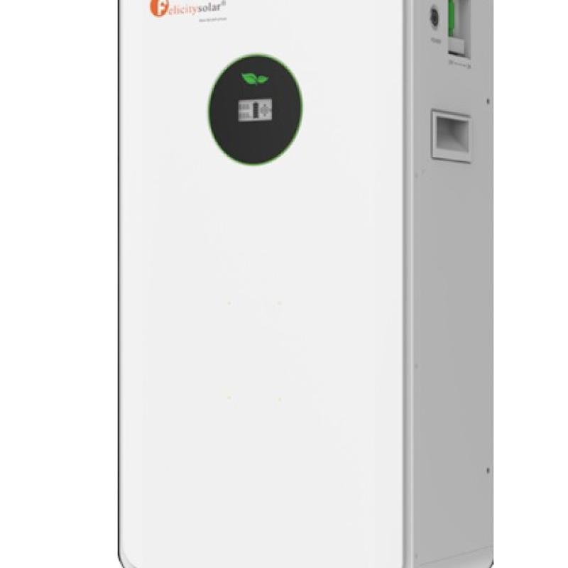 New Felicity 15KWh FLA48300TG2 Lithium Battery 48V 300Ah